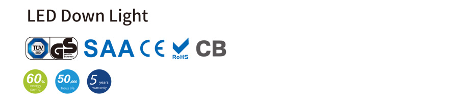  Philips driver led downlight 30W