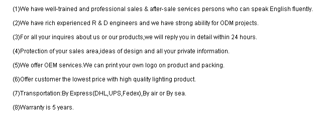 A version plastic tri-proof light with 5 years warranty