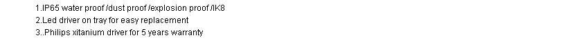 B款三防灯 Key features.jpg