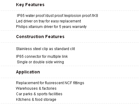 High quailty TUV/GS Hot Sell IP65 Tri proof Light 4000k 5000k CE Rohs Approved