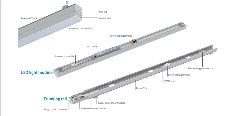 150lm/w Lens Light Module Trunk Linear System