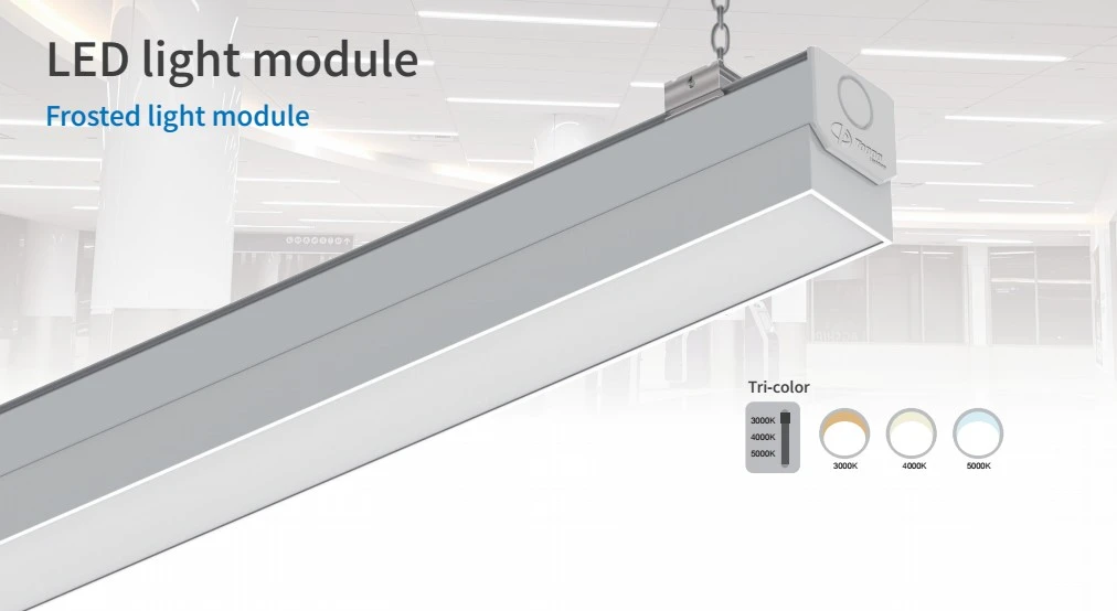 linear led modules for trunk linear system