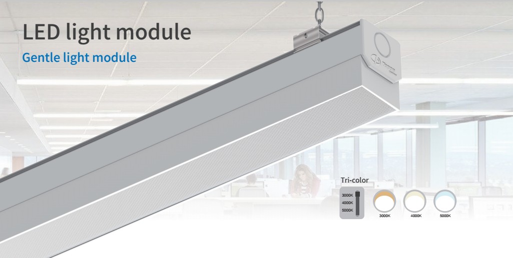 Brighton 6 in 1 led trunk modular lighting