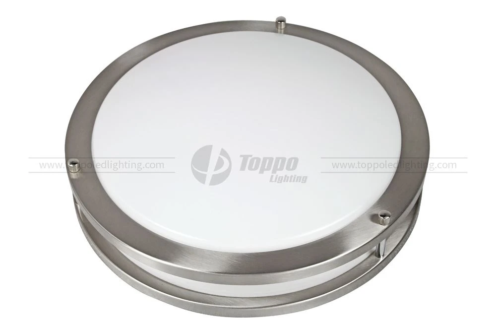 Metal Ring LED Ceiling Light (1).jpg