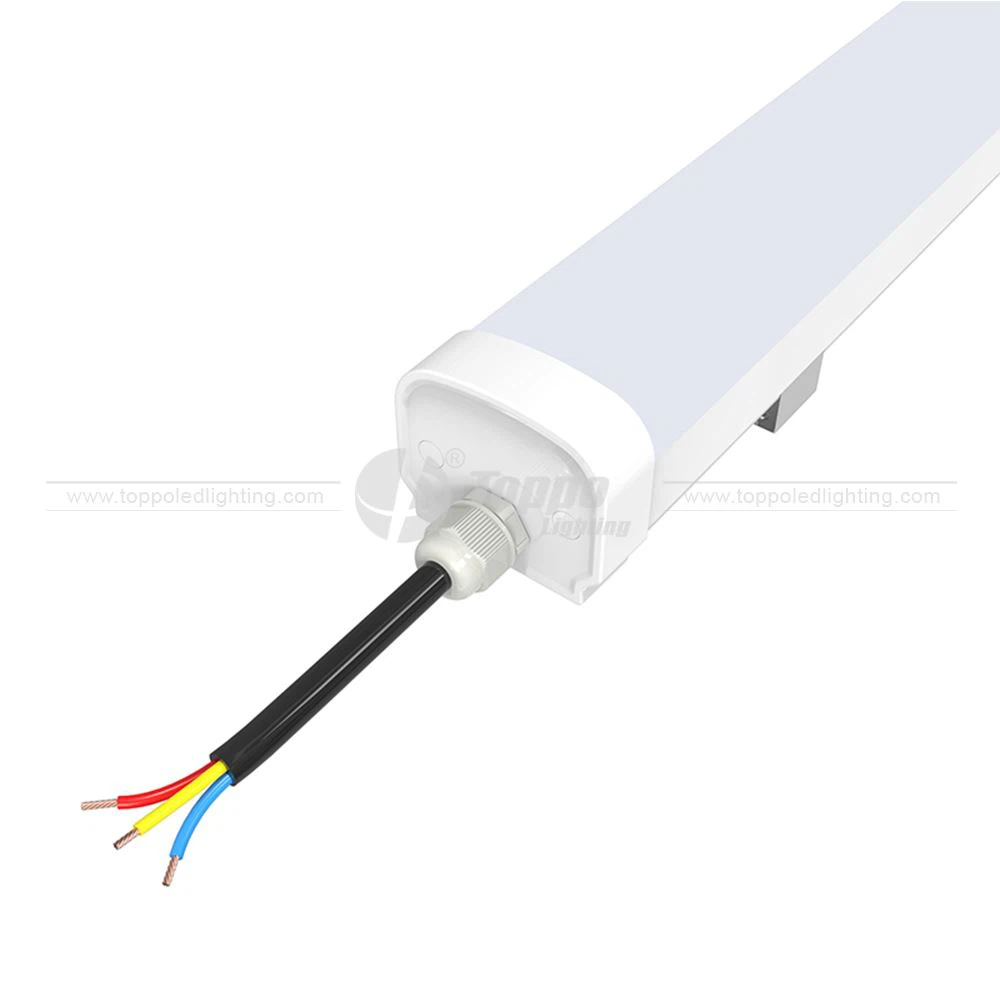 EVO Plastic Tri-proof Light.jpg EVO Plastic Tri-proof Light.jpg