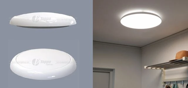 SOLO Bulkheads