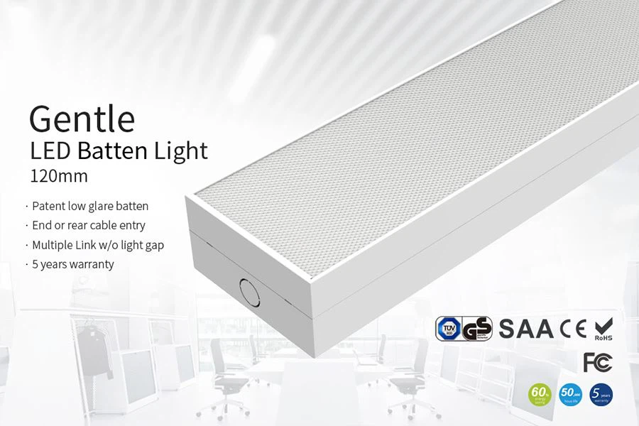 Gentle Kingston Batten.jpg