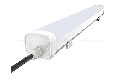 IK08 EVO Tri-proof Light