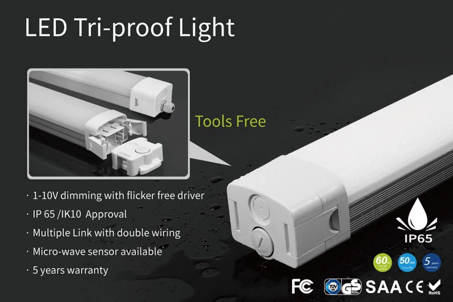 LED Linear Outdoor Lighting.jpg