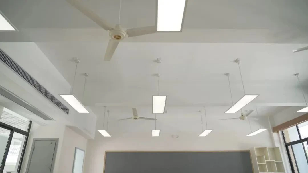 Education Light