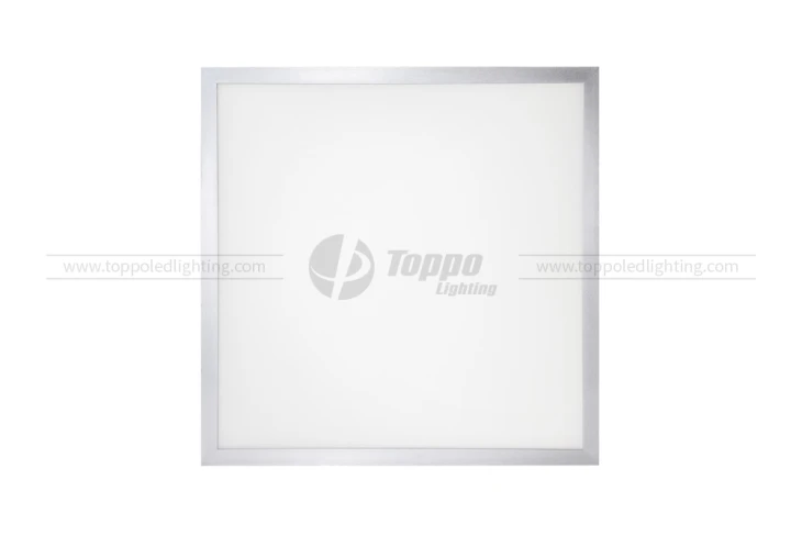 Prismatic UGR<19 95-105LM/W Single Color LED Panel Light
