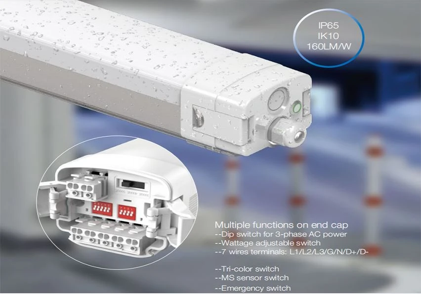 Top-sale : Tool-Free LED Tri-proof Light For Industrial Applications