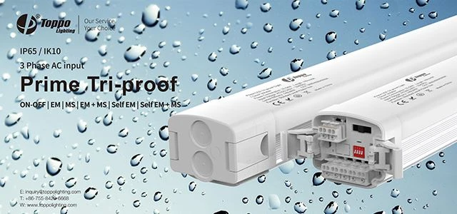 How Much Do You Know About Tri-proof Light?