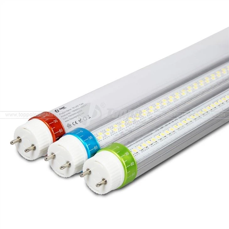 Hot Sale T8 LED Tube 5 Years Warranty