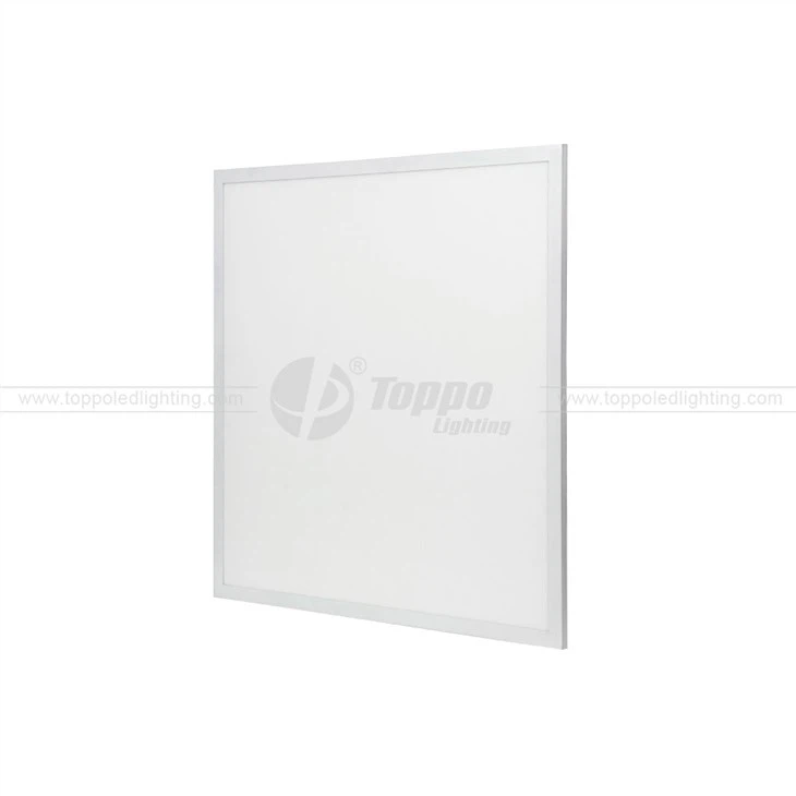 Preminum 125lm/w 1-10v Dimming LED Panel Light