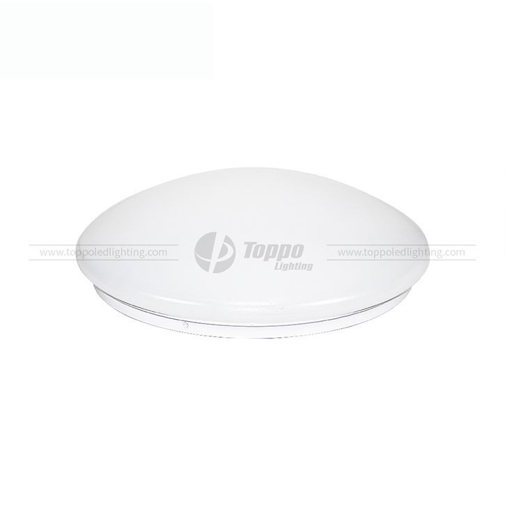 China Factory Direct Sale Best Quality Fixtures Moder LED Ceiling Light