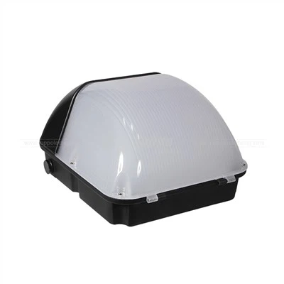 40w LED Wall Pack Light IP65 Wall Mounted