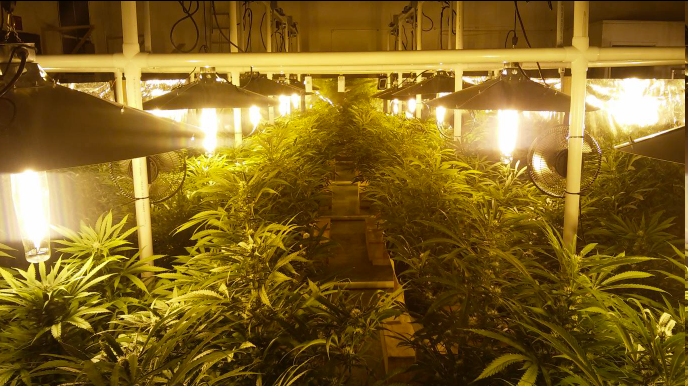 led grow panel light led grow panel light